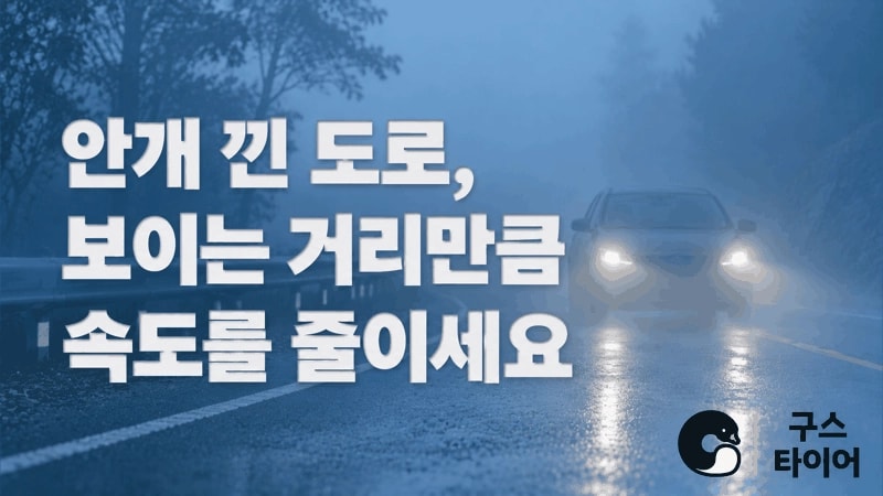 안개 낀 도로, 시야에 맞춰 속도를 줄이세요