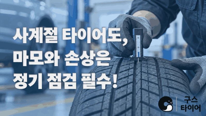 사계절 타이어의 교체 시기, 마모와 손상을 함께 보세요