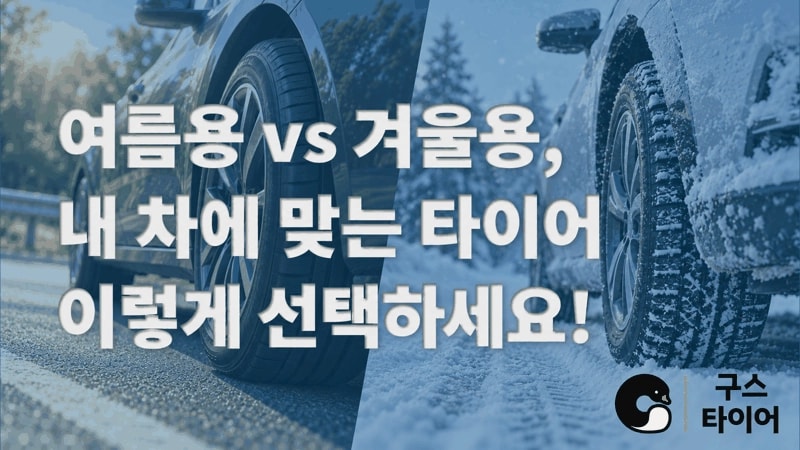 여름용과 겨울용 타이어, 내 운행 조건으로 비교하는 법