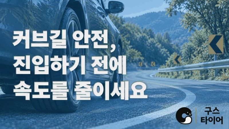 커브길 안전운전, 진입 전 감속이 중요한 이유